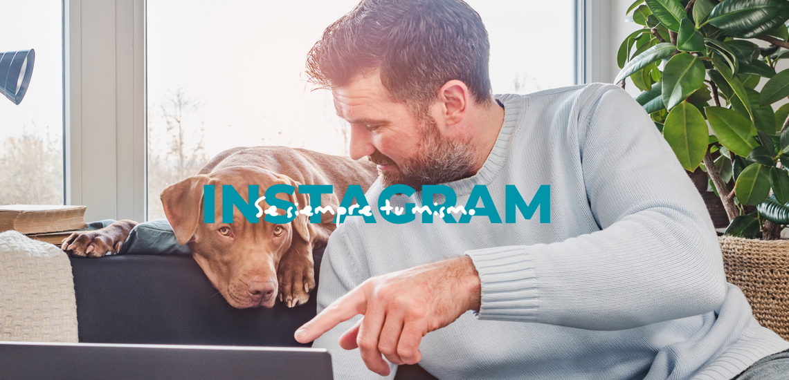 Instagram para veterinarios