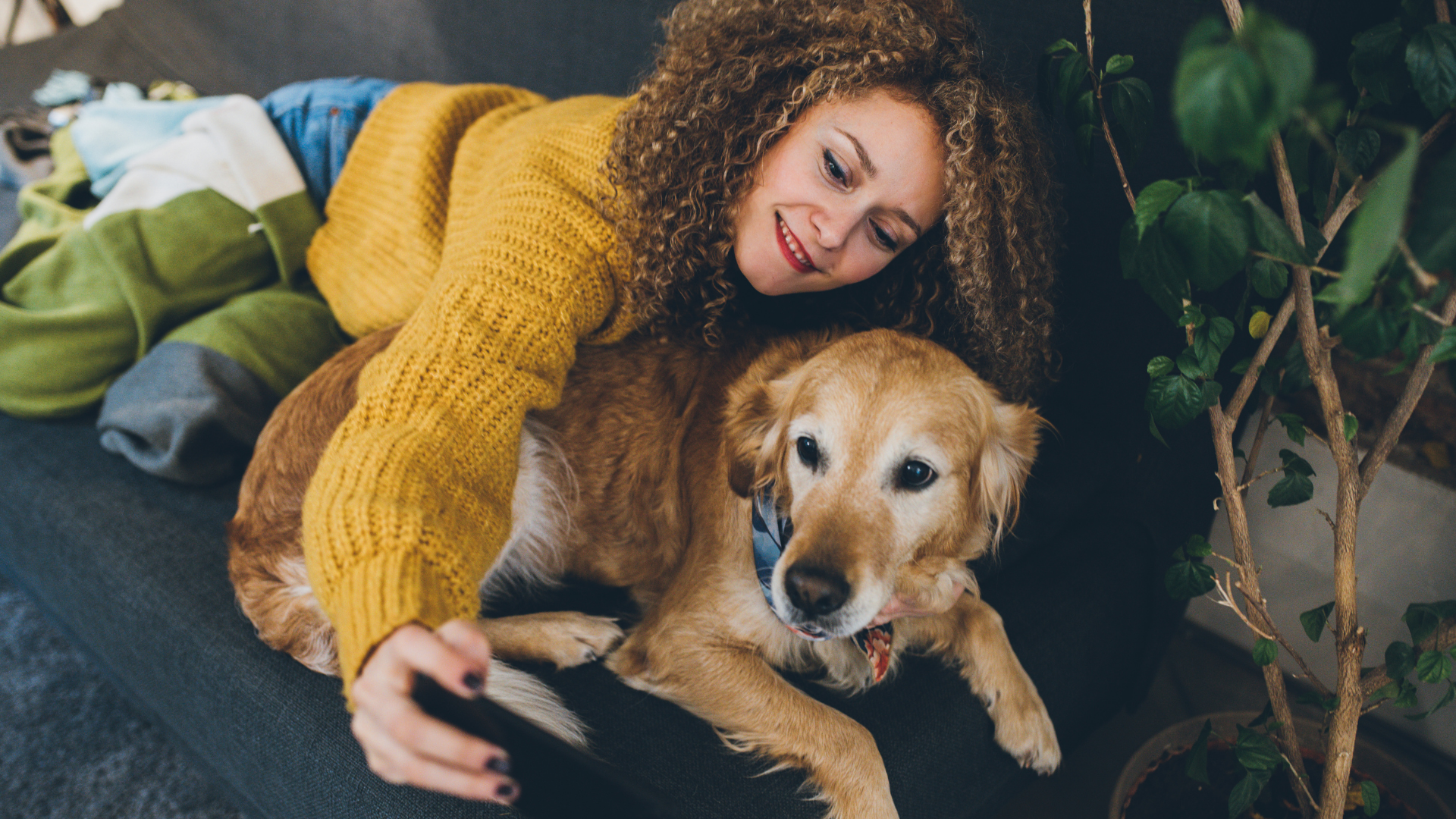 Instagram para veterinarios