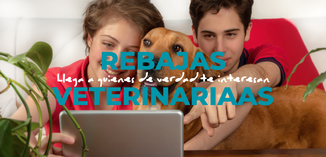 rebajas de enero para veterinarios