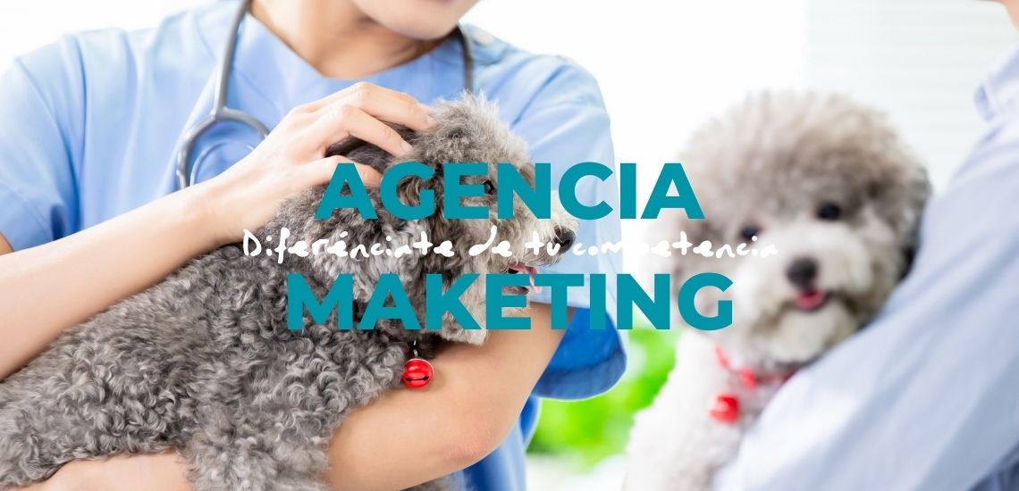 marketing veterinario