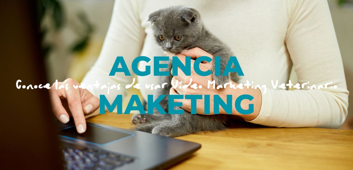 vídeo marketing veterinario