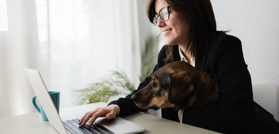 blog de marketing veterinario