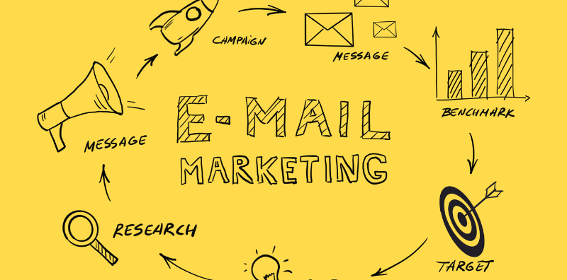 email marketing veterinario