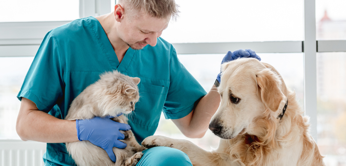 blog de marketing veterinario