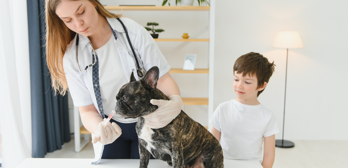 humanizar tu clínica veterinaria