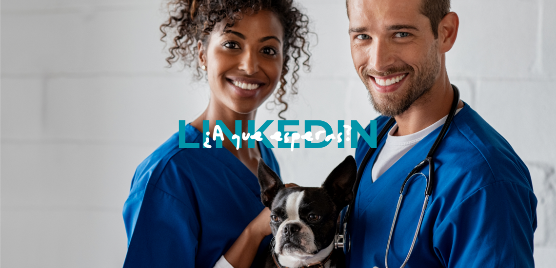 Linkedin como veterinario