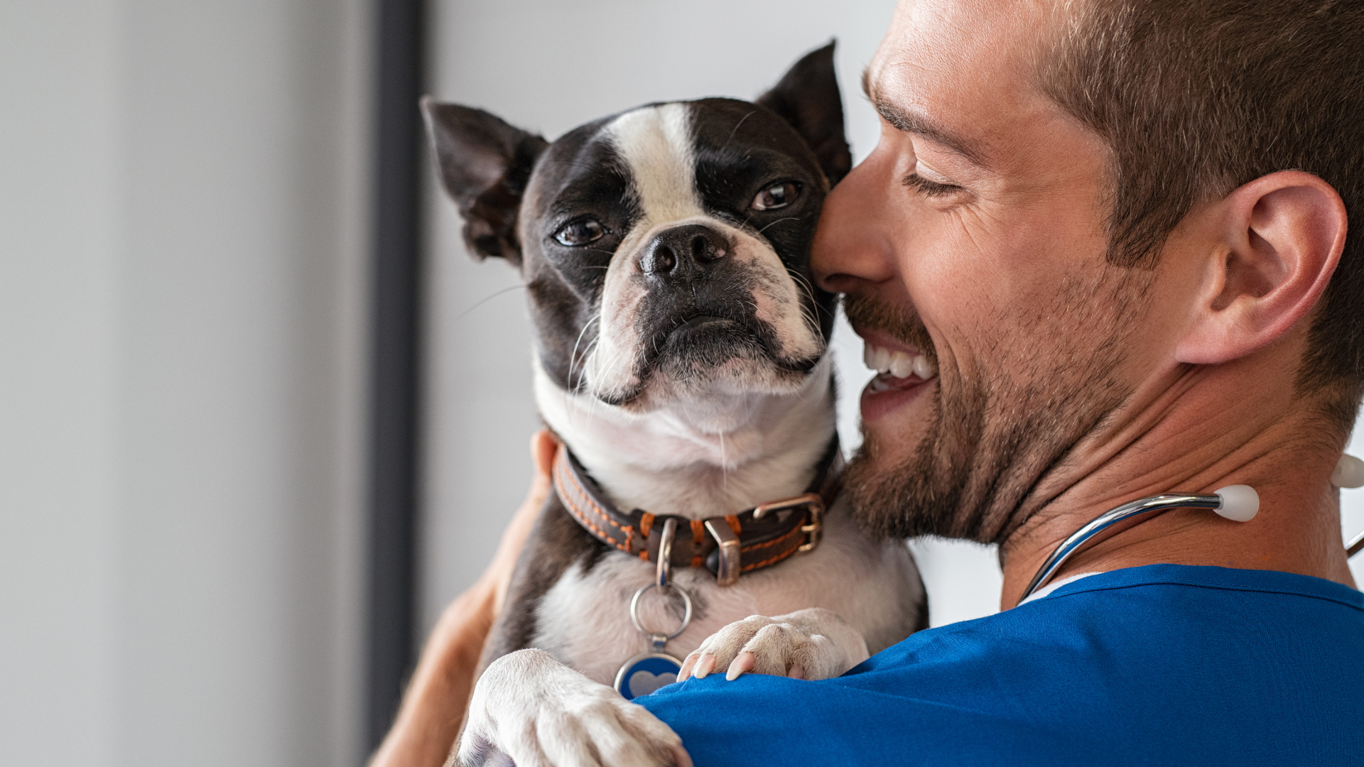 Linkedin como veterinario